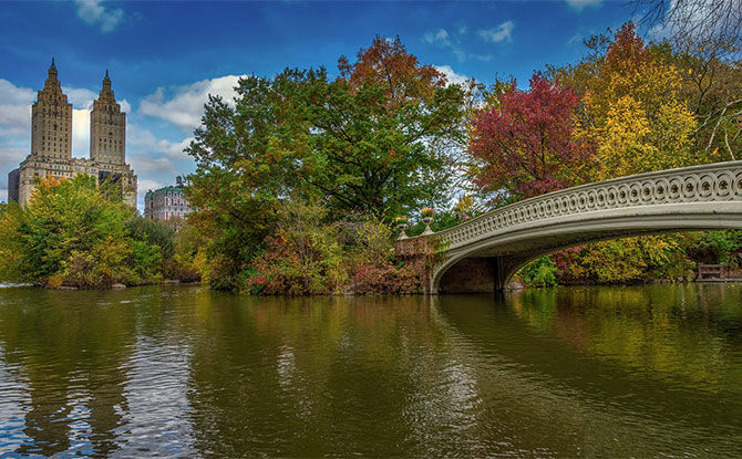 More Fun Facts about Central Park