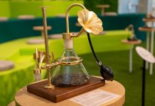 CHAGEE Garden of Senses: A Tea Reverie At Asian Civilisations Museum CHAGEE Garden of Senses: A Tea Reverie At Asian Civilisations Museum