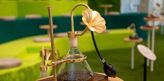 CHAGEE Garden of Senses: A Tea Reverie At Asian Civilisations Museum