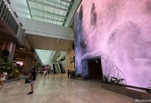 Changi Airport Terminal 2: Food, Shops & Attractions