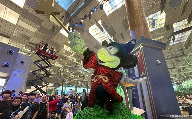 Snow and Light Shows