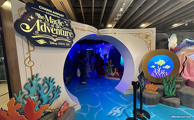 Disney Discovery Reef