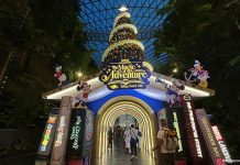 Things To Do This Weekend In Singapore: 15 To 16 November 2025 Things To Do This Weekend In Singapore: 15 To 16 November 2025