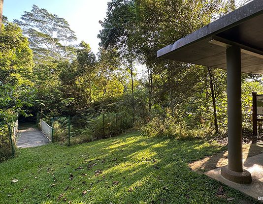 Chestnut Nature Park: 12 Things You Need to Know Before Visiting