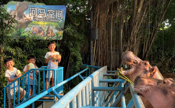 Guangzhou Chimelong Resort's Parks: Family Review 11 Our 3D Itinerary at the Chimelong Resort