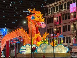 Chinatown Chinese New Year Light Up & Celebrations 2024: What To See & Do
