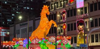 Chinatown Chinese New Year Light Up & Celebrations 2026: What To See & Do