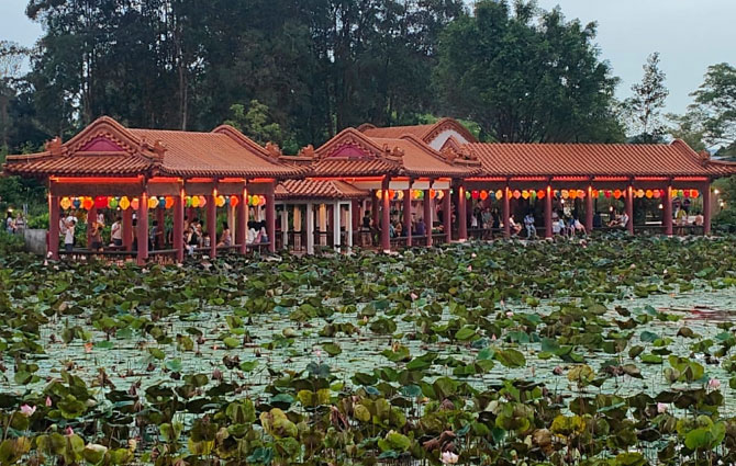 Chinese Garden Lunar New Year 2026: Lanterns & Light Show By Jurong Lake 6 Lunar New Year Festive Plantings and Landscape around Chinese Garden