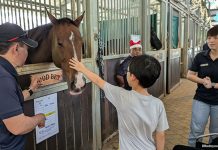 EQUAL’s Christmas At The Stables: Hooves Up For Some Meaningful Holiday Fun Christmas At The Stables: A Meaningful Yuletide With Horses