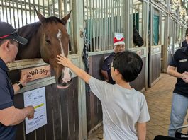 Christmas At The Stables: A Meaningful Yuletide With Horses