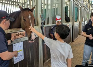 Christmas At The Stables: A Meaningful Yuletide With Horses