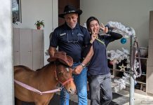 Things To Do This Weekend In Singapore: 6 to 7 December 2025 Behind the Stables