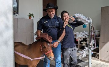 Things To Do This Weekend In Singapore: 6 to 7 December 2025 Behind the Stables