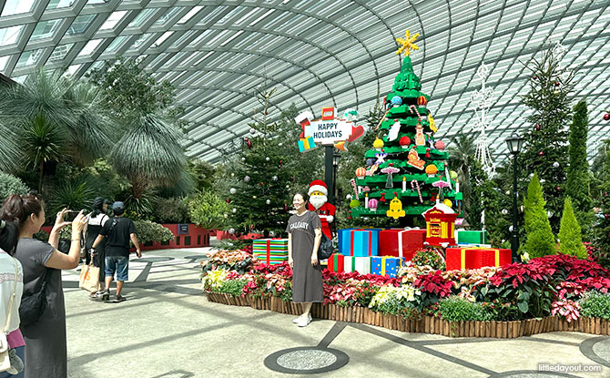 Gardens By The Bay Christmas Train Show 2025: Christmas Cheer At The Flower Dome 5 4.5-metre-tall LEGO Christmas tree