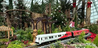 Gardens By The Bay Christmas Train Show 2025: Christmas Cheer At The Flower Dome