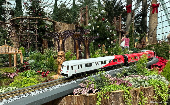 G-scale SMRT Train