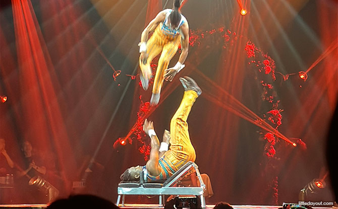 human tumblers at Cirque Alice