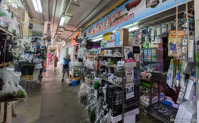 Aquarium Avenue