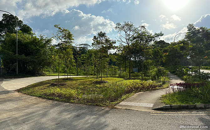 Clementi Nature Park: From Ulu Pandan Road to Rail Corridor (Eventually)