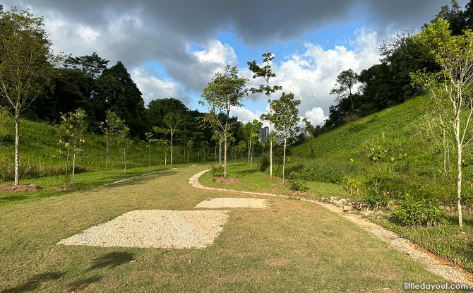 Clementi Nature Trail vista