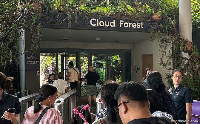 Tips for Visiting the Cloud Forest 