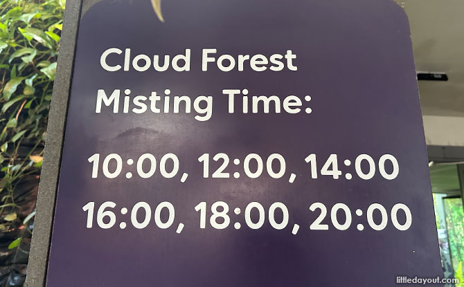 Cloud Forest Misting Times