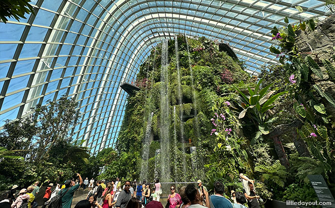 Waterfall at the Cloud Forest, Gardens by the Bay