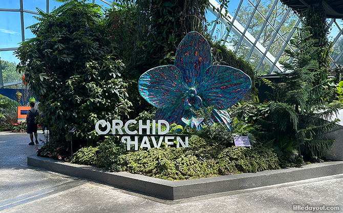 Orchid Haven at Cloud Forest