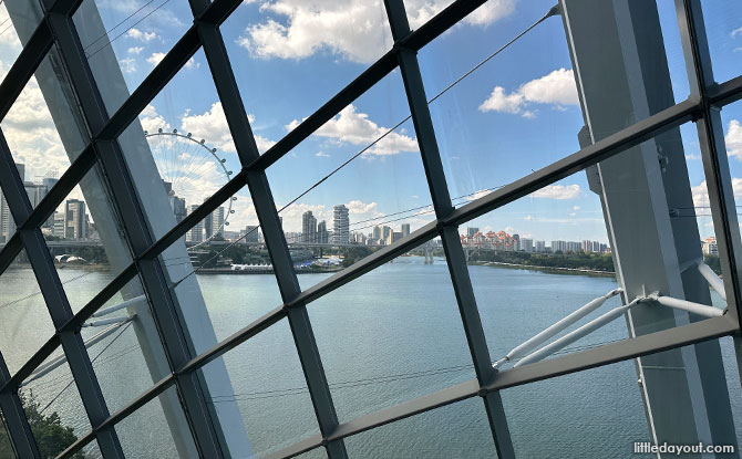 View from the Cloud Walk at Gardens by the Bay's Cloud Forest