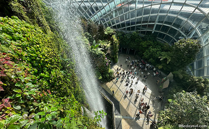 View from the Waterfall View platform at the Cloud Forest Dome at Gardens by the Bay