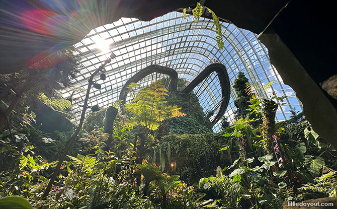 Gardens By The Bay Cloud Fores