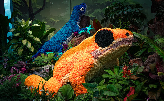 Colombia: Biodiversity Exhibition at Floral Fantasy 