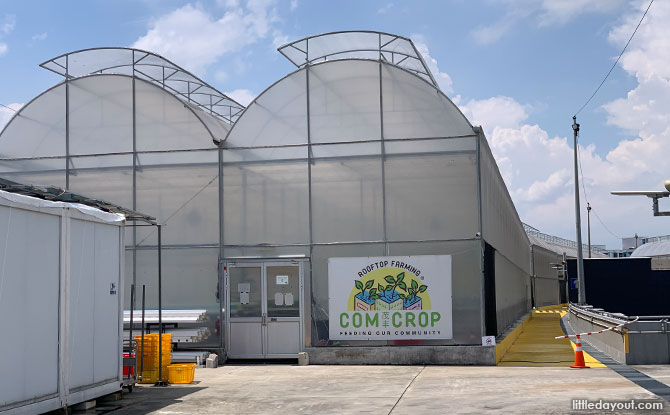 ComCrop: Turning Rooftops into Productive Space