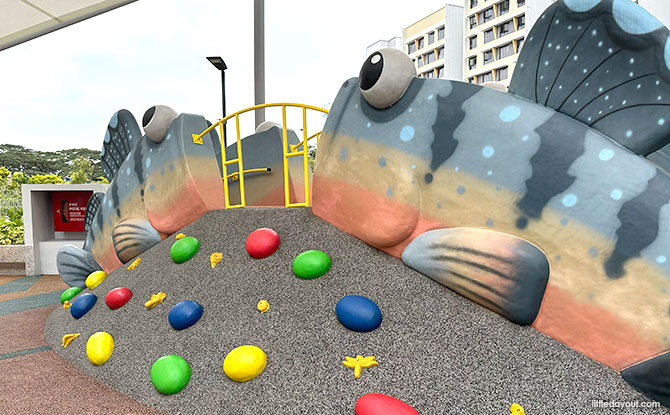 Costa Grove Playgrounds: Lobster Play, Mudskipper Slide & More 7 Mudskipper Slide