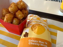 McDonald's Crispy Mac ‘N Cheesy Wrap Review: It's Back With Potato Pops