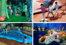 Curiosity Cove At Mandai Wildlife East: Indoor Playscape With 4 Zones For Kids To Play & Discover Curiosity Cove At Mandai Wildlife East: Indoor Playscape With 4 Zones For Kids To Play & Discover
