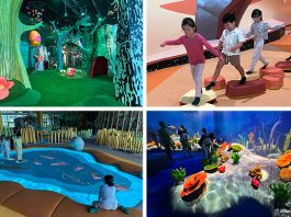 Curiosity Cove At Mandai Wildlife East: Indoor Playscape With 4 Zones For Kids To Play & Discover