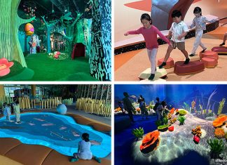 Curiosity Cove At Mandai Wildlife East: Indoor Playscape With 4 Zones For Kids To Play & Discover Curiosity Cove At Mandai Wildlife East: Indoor Playscape With 4 Zones For Kids To Play & Discover