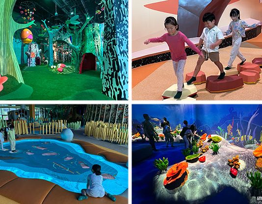 Curiosity Cove At Mandai Wildlife East: Indoor Playscape With 4 Zones For Kids To Play & Discover