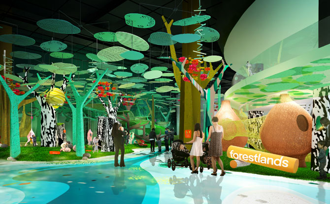 curiosity cove