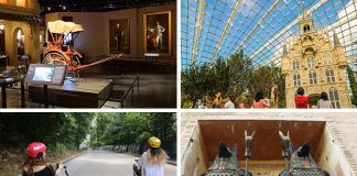 Get An Overview Of Which Attractions In Singapore Have Reopened