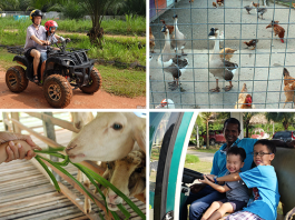 d00-sinar-eco-resort