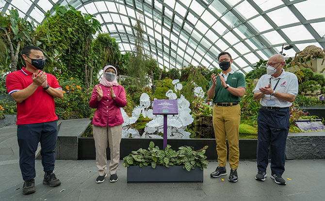 (F rom left) Minister for National Development Desmond Lee, President Halimah Yacob, Member of the Board of Trustees of Tanoto Foundation Anderson Tanoto and Gardens by the Bay Board Member John Tan at the unveiling of Dale Chihuly ’s Ethereal White Persians a t Cloud Forest – a donation by Tanoto Foundation to Gardens by the Bay.
