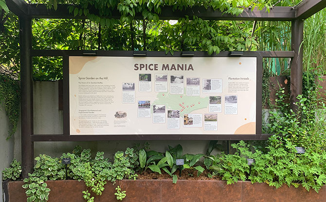 Fort Canning Spice Garden Panels