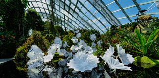 Dale Chihuly’s Ethereal White Persians Sculpture Gets A Permanent Place At Cloud Forest Dome