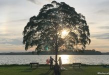 Upper Seletar Reservoir Tree: The Tree & Two Benches Upper Seletar Reservoir Tree: The Tree & Two Benches
