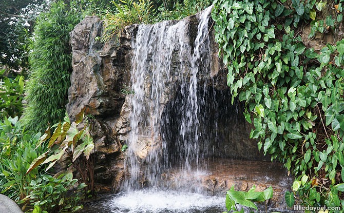 Ginger Falls - Waterfalls in Singapore