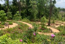 Gallop Valley & Woollerton Gate: How To Get To Singapore Botanic Gardens From Farrer Road The Gallop Valley & Woollerton Gate: How To Get Singapore Botanic Gardens From Farrar Road