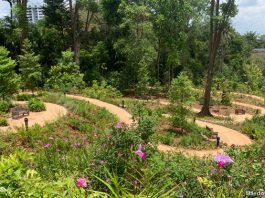 The Gallop Valley & Woollerton Gate: How To Get Singapore Botanic Gardens From Farrar Road