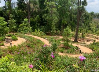 Gallop Valley & Woollerton Gate: How To Get To Singapore Botanic Gardens From Farrer Road The Gallop Valley & Woollerton Gate: How To Get Singapore Botanic Gardens From Farrar Road